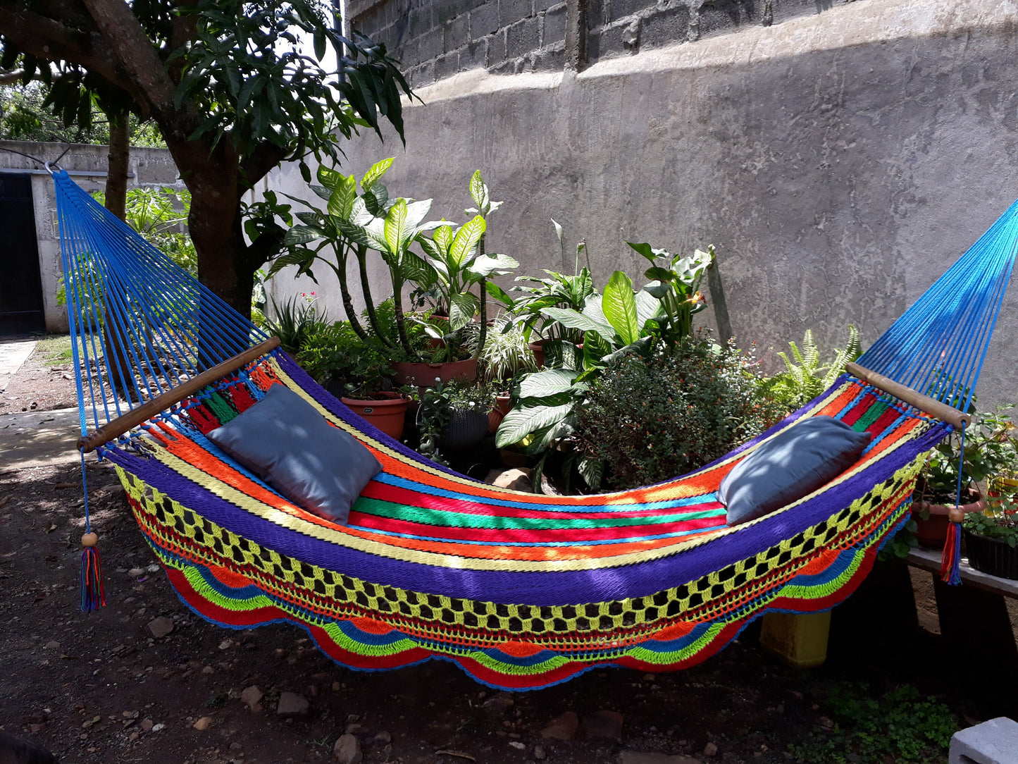 Multicolor Hammock with Beautiful Wood - Natural Cotton | Columpiame