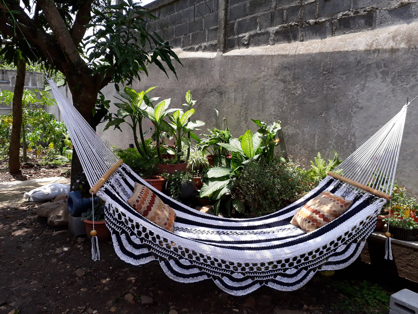 White and Blue Hammock Special for Gift - Natural Cotton | Columpiame