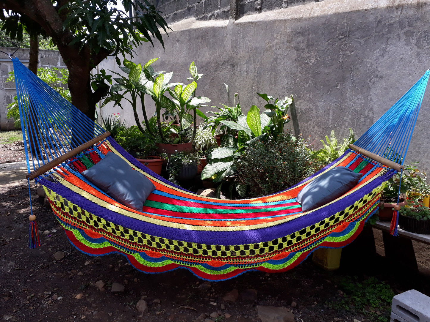 Multicolor Hammock with Beautiful Wood - Natural Cotton | Columpiame