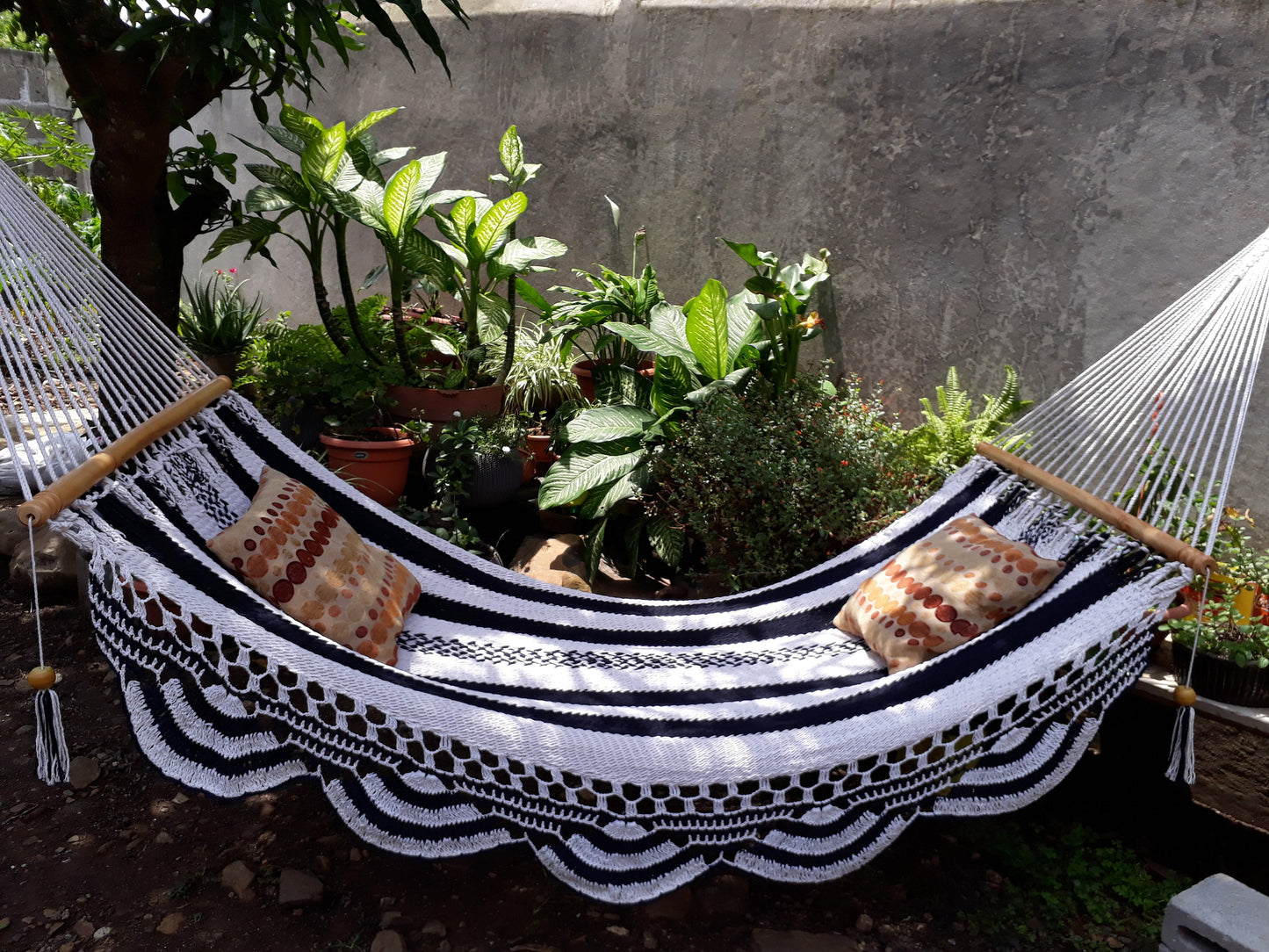White and Blue Hammock Special for Gift - Natural Cotton | Columpiame